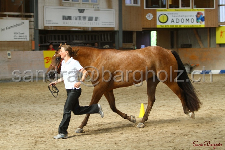 24-ApHC HIH_092.jpg